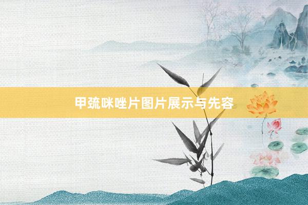 甲巯咪唑片图片展示与先容